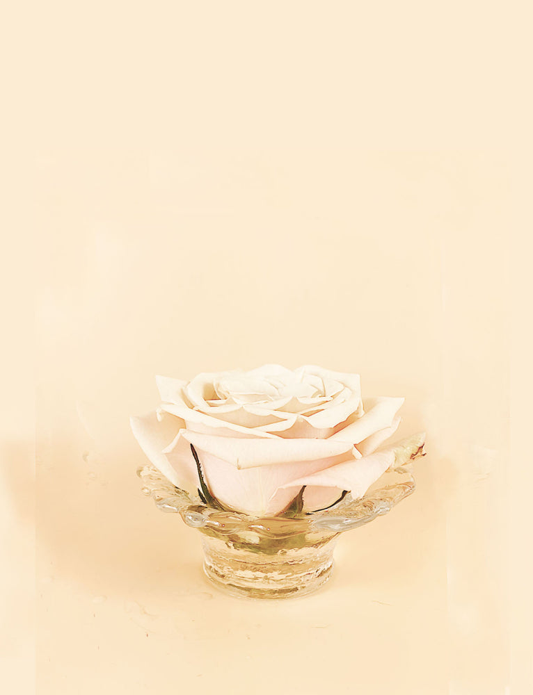 Blooming Short Vase - Therein - Modern & Vintage