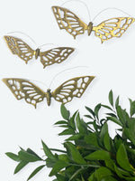 Vintage Dream Lunar Butterfly Moth Art, Set of 3 - Therein - Modern & Vintage